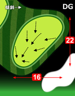 1番グリーン右